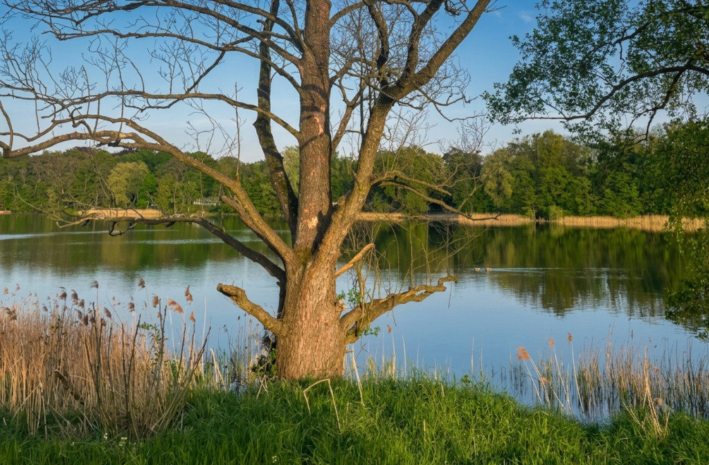Traumhafte Wasserlage am Bauernsee in Brandenburg.